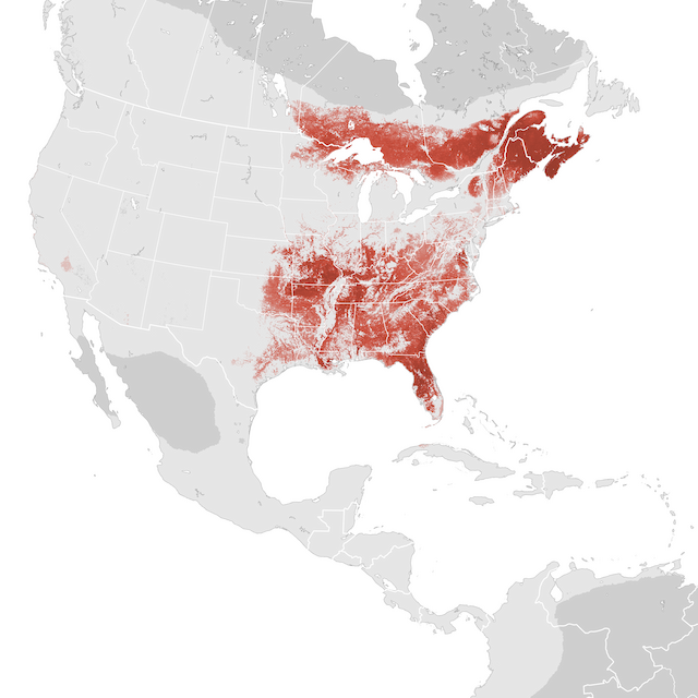 Abundance Map