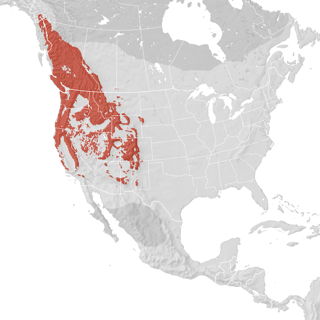 Range Map