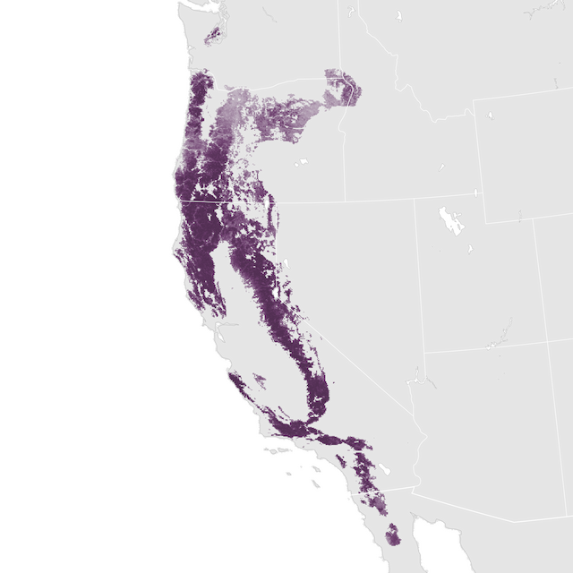 Abundance Map