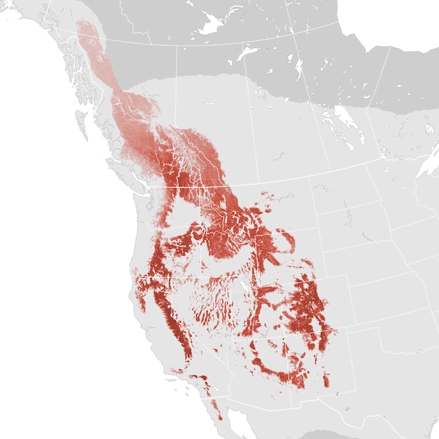 Abundance Map