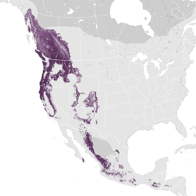 Abundance Map
