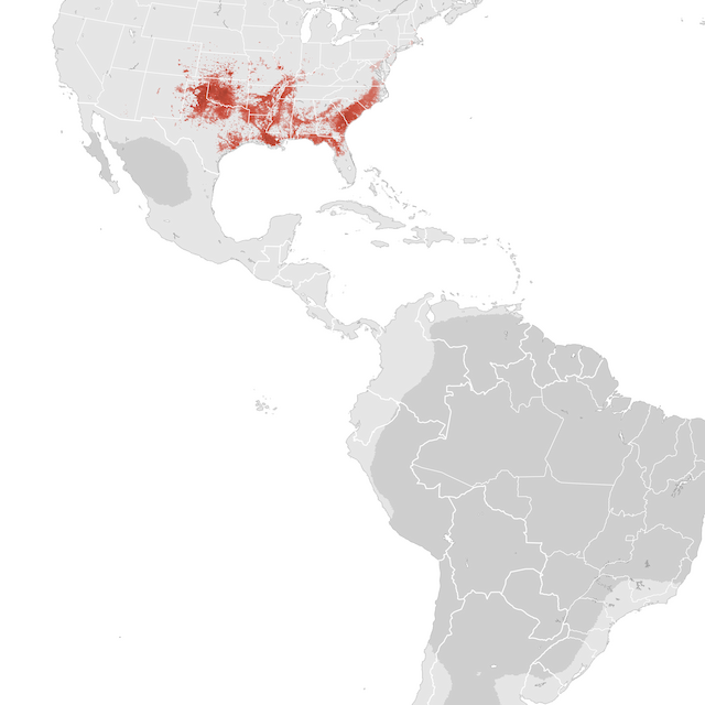 Abundance Map