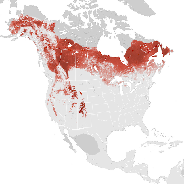 Abundance Map