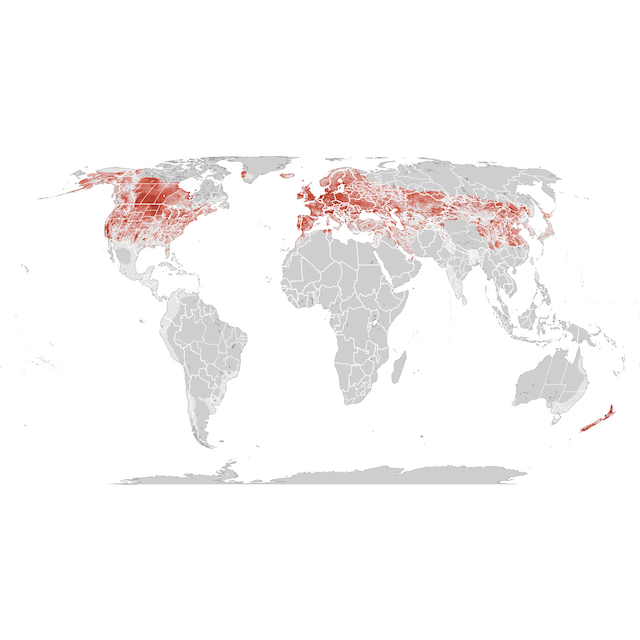Abundance Map
