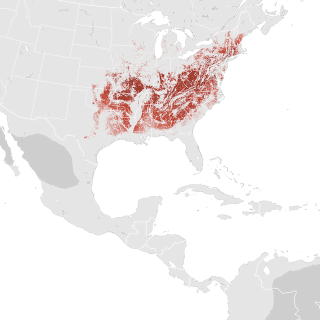 Abundance Map