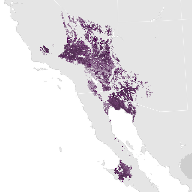 Abundance Map
