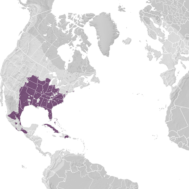 Range Map