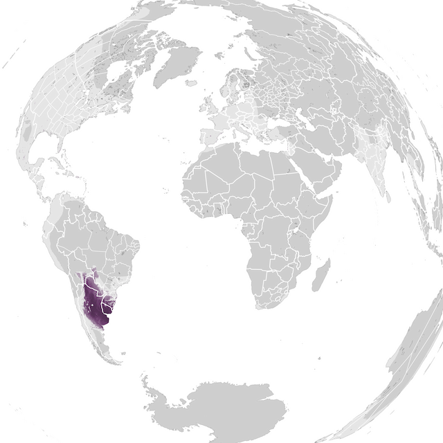Abundance Map