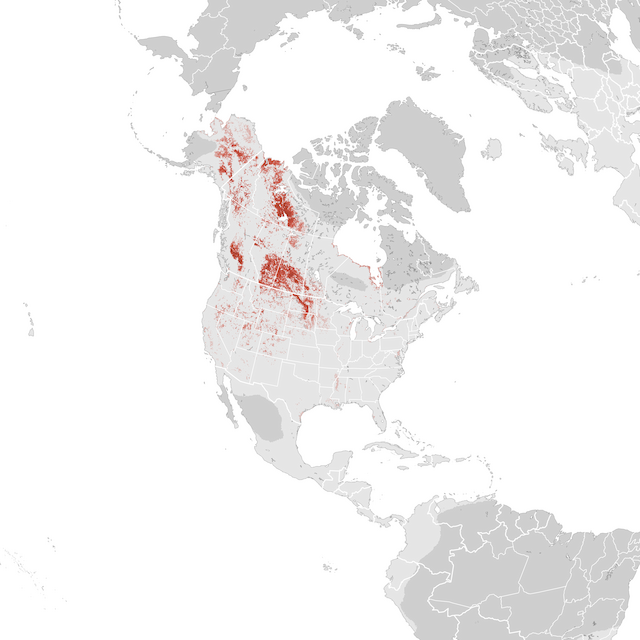 Abundance Map