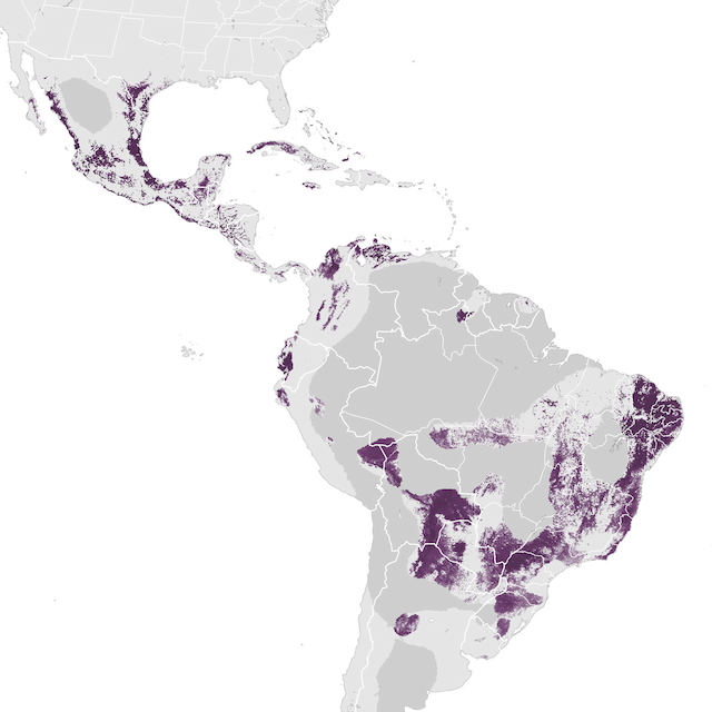 Abundance Map