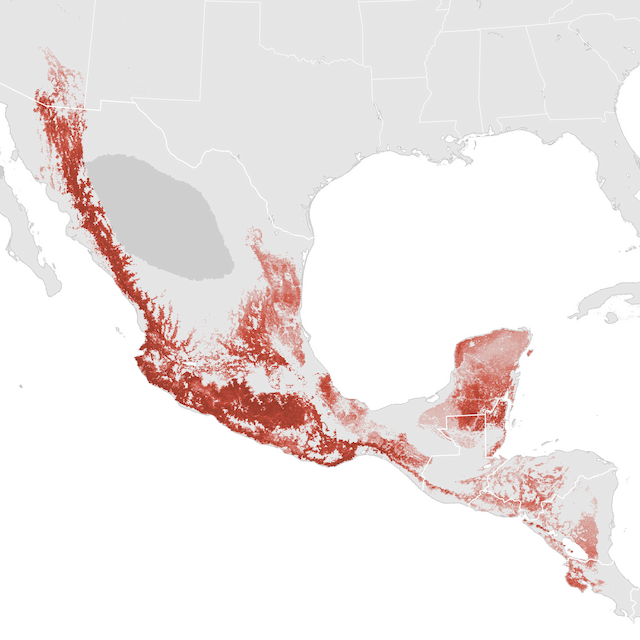 Abundance Map