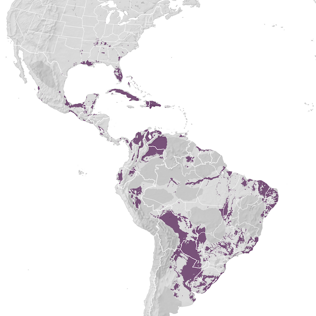 Range Map
