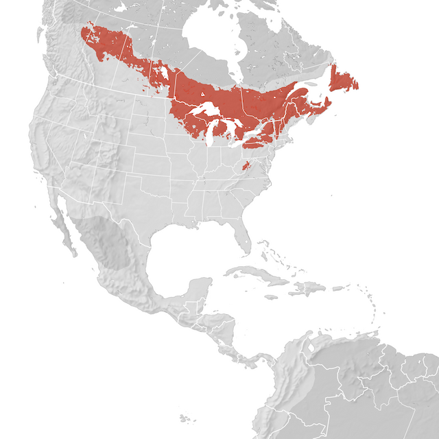 Range Map