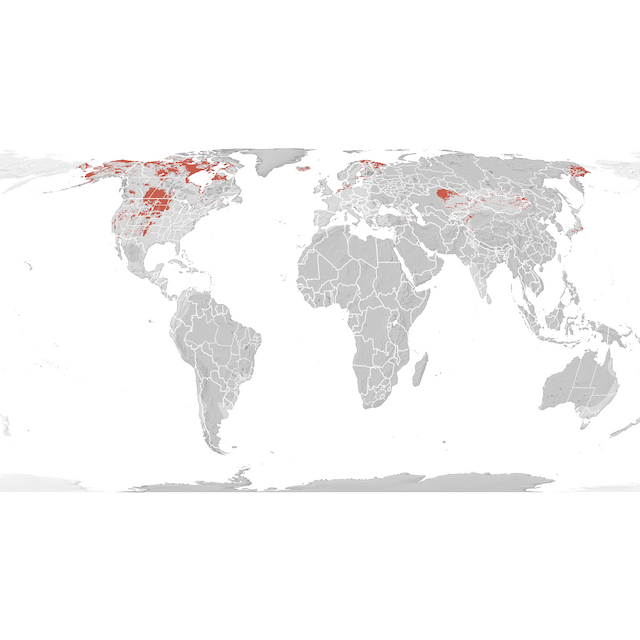 Range Map