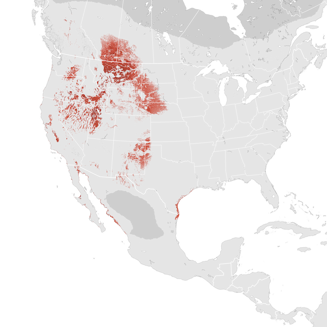 Abundance Map