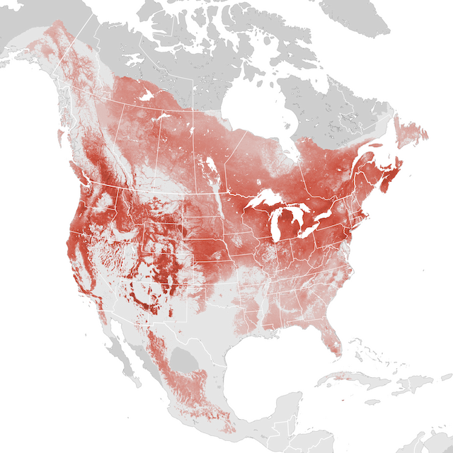 Abundance Map