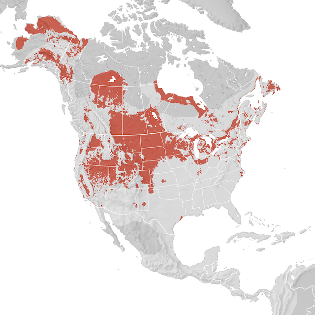 Range Map