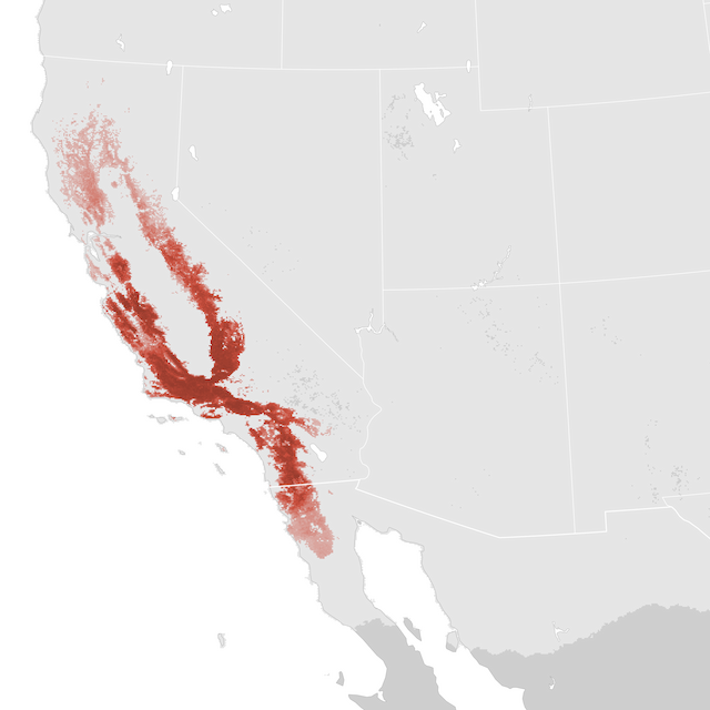 Abundance Map