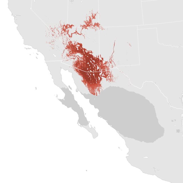 Abundance Map