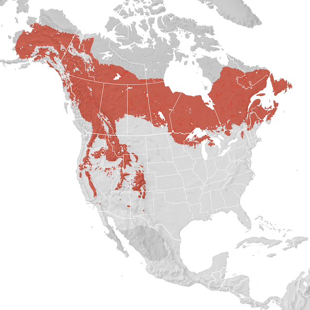 Range Map