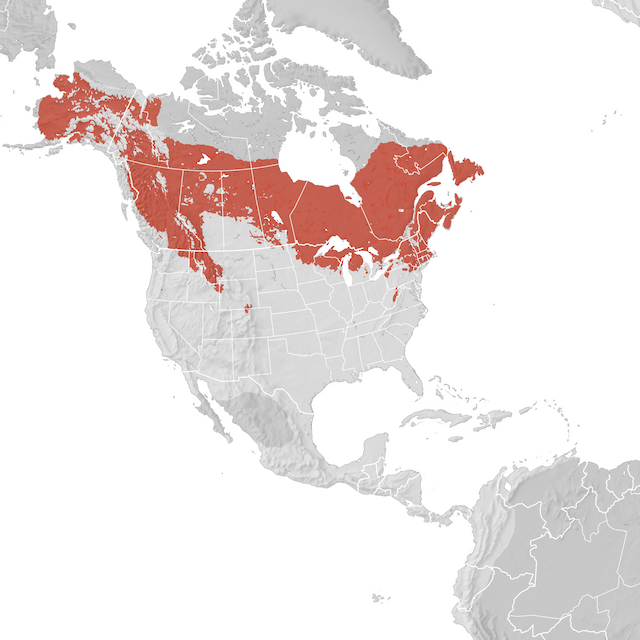 Range Map