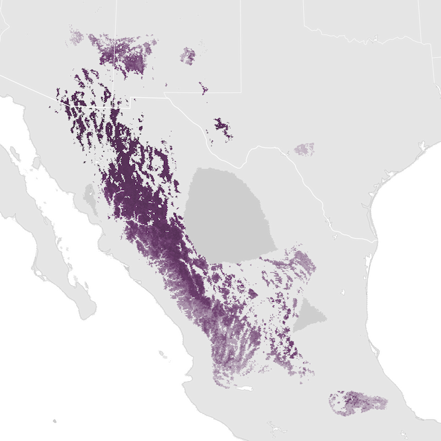 Abundance Map