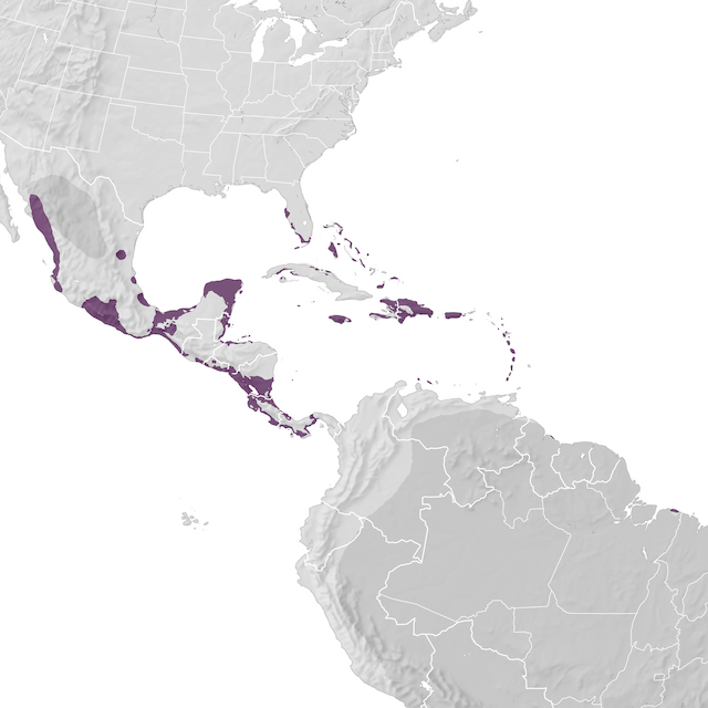 Range Map