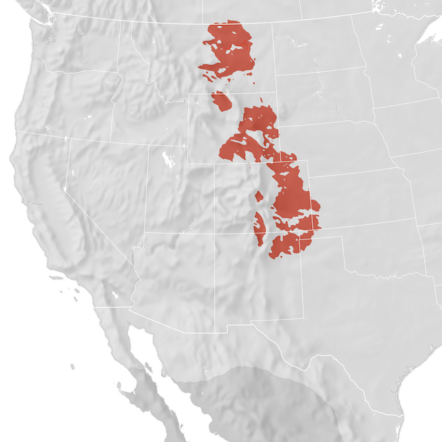 Range Map