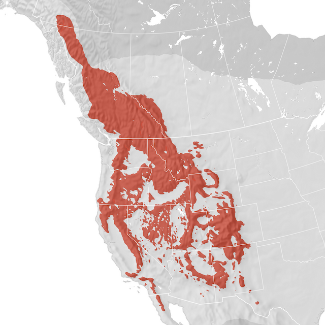 Range Map