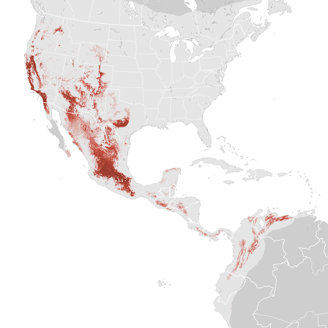 Abundance Map
