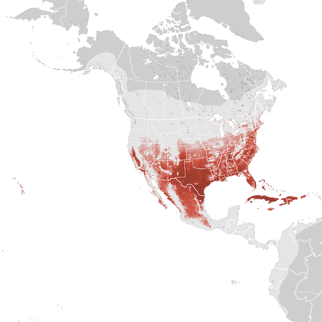 Abundance Map