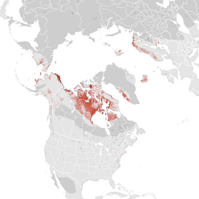 Abundance Map