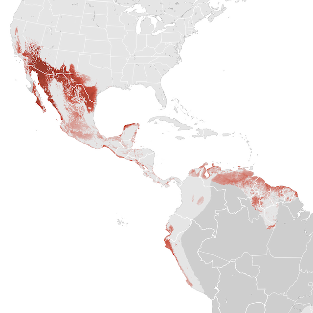 Abundance Map