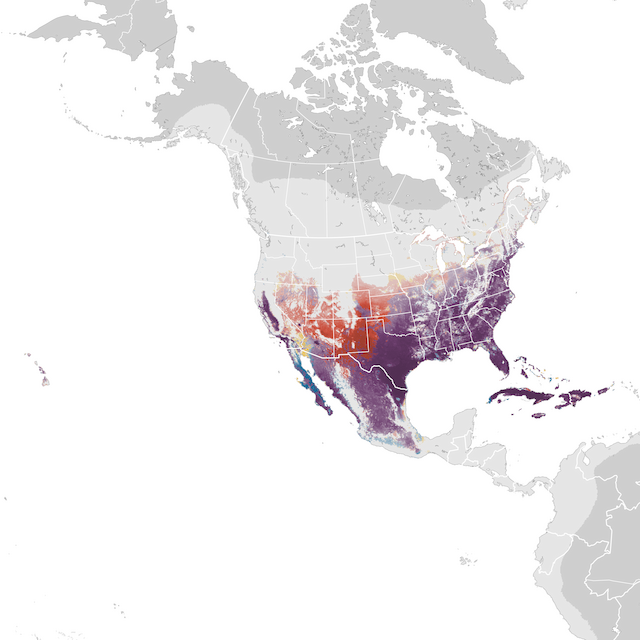 Abundance Map