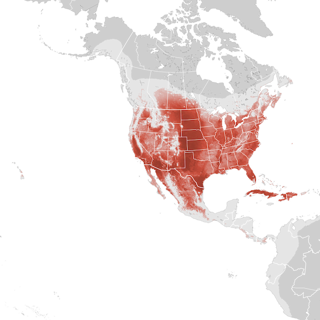 Abundance Map