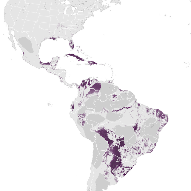Abundance Map