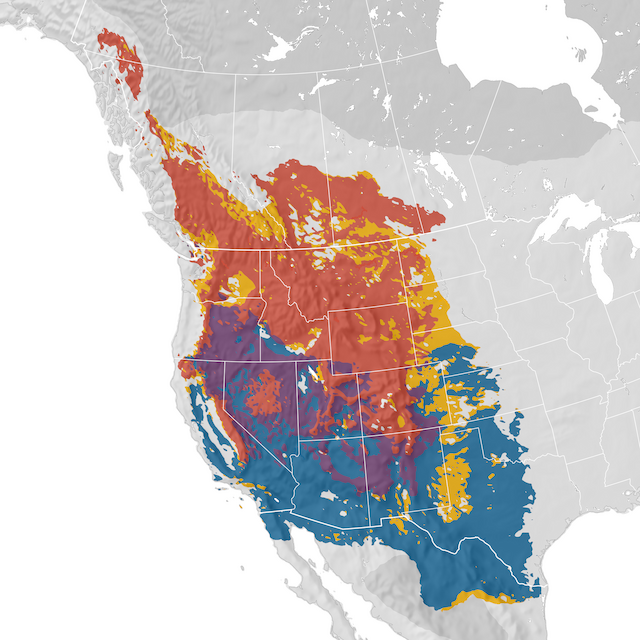 Mapa de distribuição