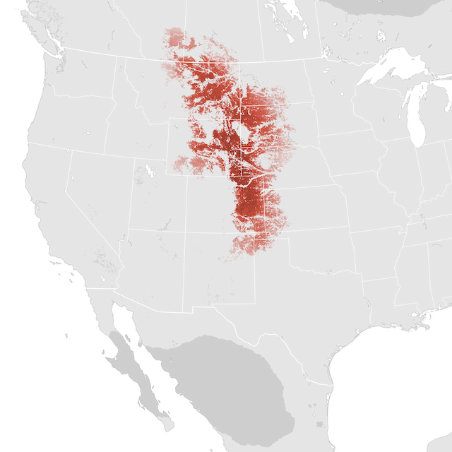 Abundance Map