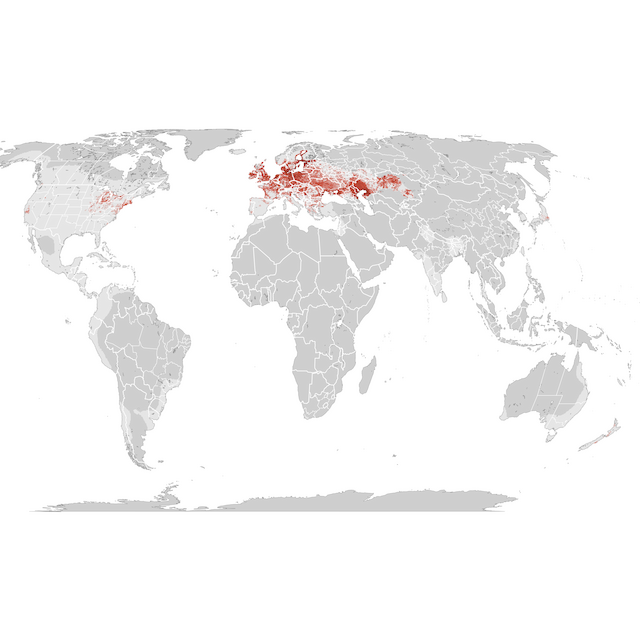 Abundance Map