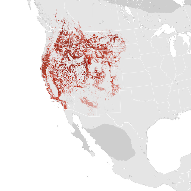 Abundance Map
