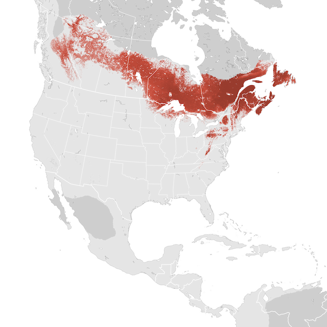 Abundance Map