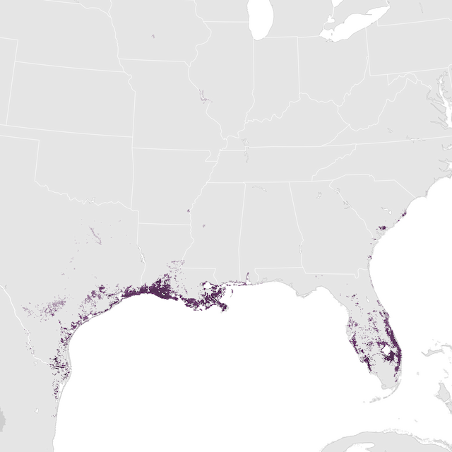 Abundance Map