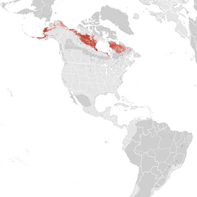 Abundance Map