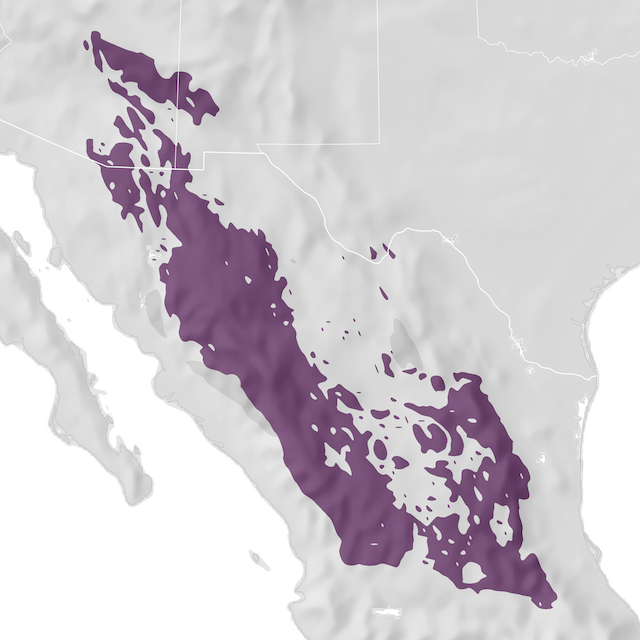 Range Map