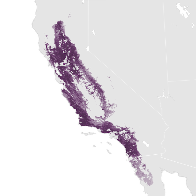 Abundance Map