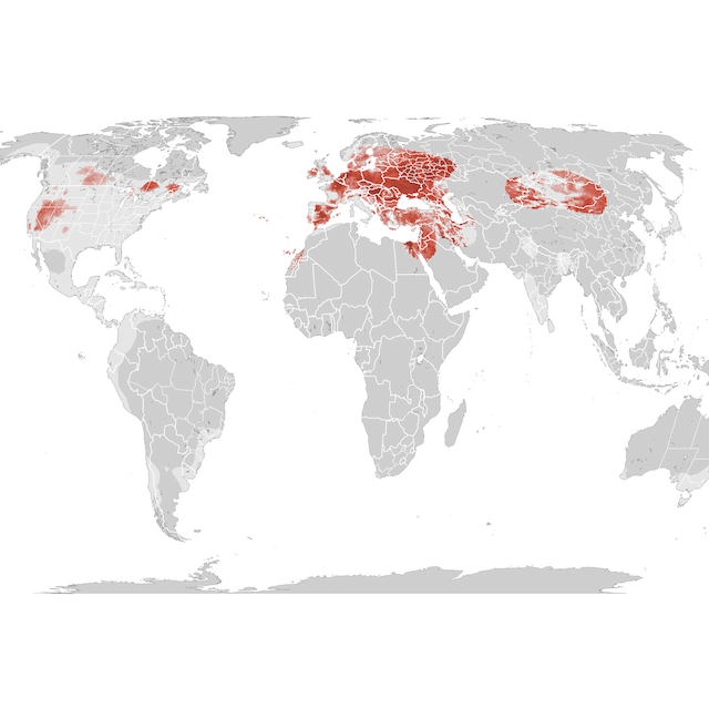 Abundance Map