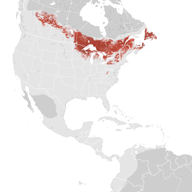 Abundance Map