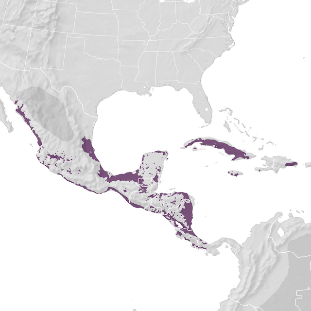 Range Map