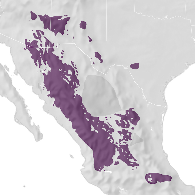Range Map