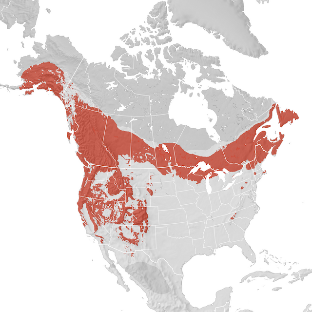 Range Map